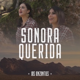 Sonora Querida (feat. David Hidalgo) Los Cenzontles