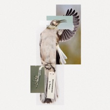 I'll Be Gone in the Dark