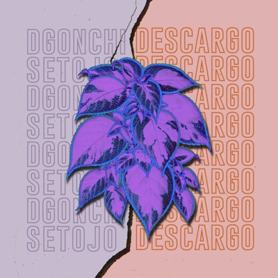 Descargo - Single