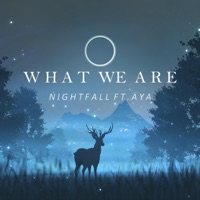 What We Are (feat. Aya Saeed) - Single - NightFall