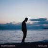 Hey Love - Single