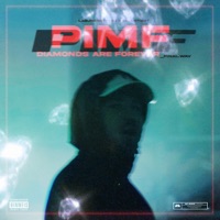 Diamonds Are Forever - Single - Pimf