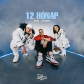 12 hónap (feat. T. Danny) artwork