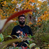 Target Practice - Single - Drew Prince