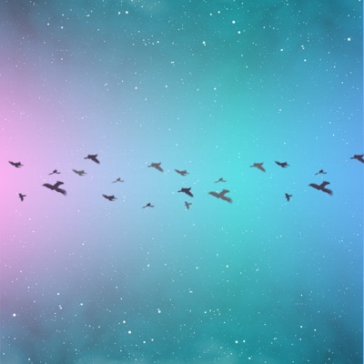 Space Birds - Single
