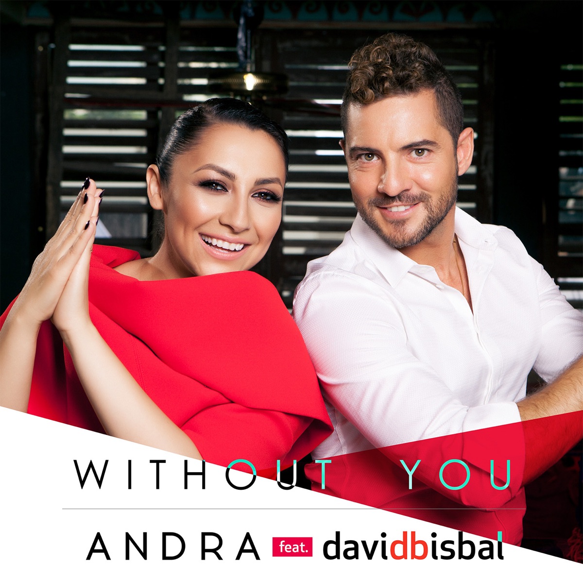 Without You (feat. David Bisbal) - Single de Andra en Apple Music