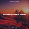 Sleep Music - Study Janelle lyrics