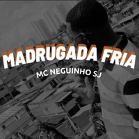 Madrugada Fria - Single - Mc Neguinho Sj