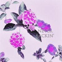 Never Lackin' (feat. Ricky Brielo) - Single - Freddy Leone