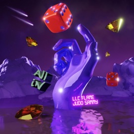 All In Judo Sammy & LLC Flame