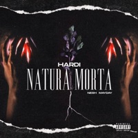 Natura morta (feat. Nesh Mayday) - Single - HARDI