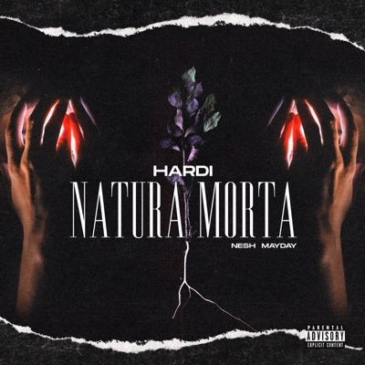 Natura morta (feat. Nesh Mayday) - Single