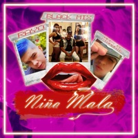 Niña Mala (feat. Alex El Diamante & Rayo AC) - Single - Black Mix