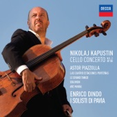 Concerto per violoncello, Op. 103: Lento artwork