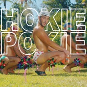 Hokie Pokie artwork