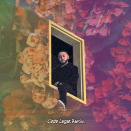 Never Been the Same (feat. Cade Legat) [Remix] Phaino