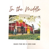 In The Middle artwork