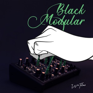 Black Modular - Single