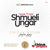 Chizuk Nigun - Single - Shmueli Ungar