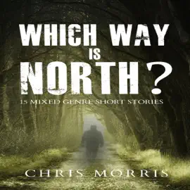Which Way is North?: 15 Mixed Genre Short Stories (Unabridged)