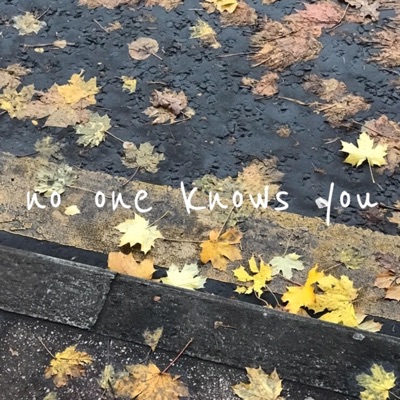 No One Knows You - Single