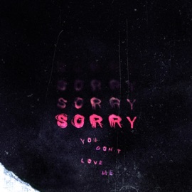 Sorry You Don't Love Me (feat. Bonren) Armani Sani