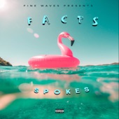 Facts artwork