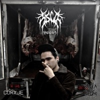 CORXJE - Single - ASCO 46661