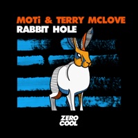 Rabbit Hole - Single - MOTi & Terry McLove