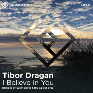 I Believe in You - Single