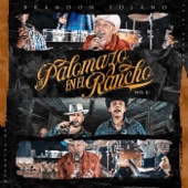 Un Palomazo En El Rancho Vol.1 - EP artwork
