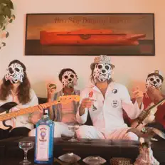 聆聽 The Bash Dogs、觀看音樂影片、閱讀小傳、查看巡演日期等！