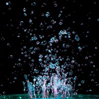 Want U - Single - LovxPandas