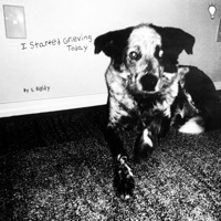 I Started Grieving Today - EP - S. Reidy