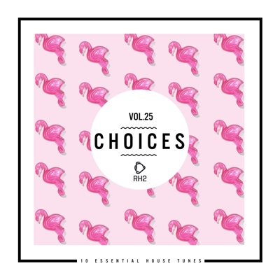 Choices - 10 Essential House Tunes, Vol. 25
