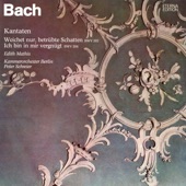 Bach: Kantaten - Weichet nur, betrübte Schatten, BWV 202 - Ich bin in mir vergnügt, BWV 204 artwork