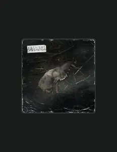 Ascolta Grey/Rot, guarda video musicali, leggi la biografia, vedi le date del tour & altro!