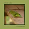 Salas - Little Symphony lyrics