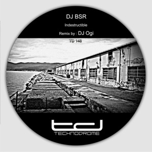 Indestructible - Single