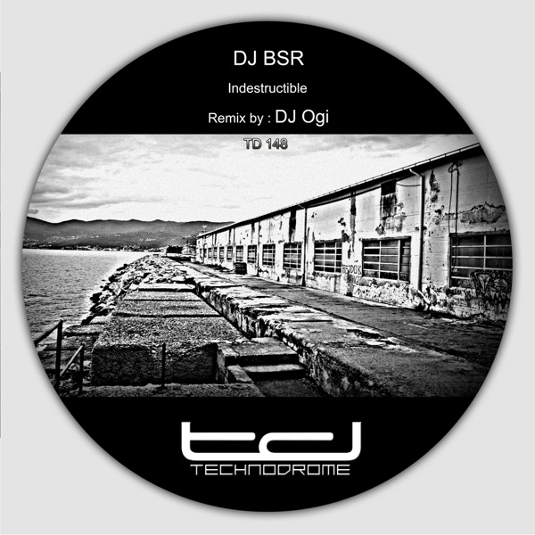Indestructible - Single