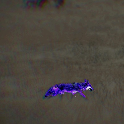 Traveling the Multiverse With Iktomi, Pt. 1: Coyote