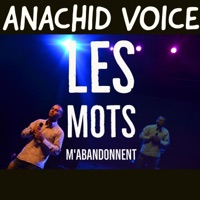 Les mots m'abandonnent - Mounir El Moumni
