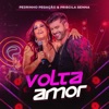 Volta Amor (Ao Vivo) - Single