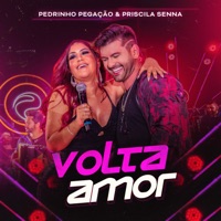 Volta Amor (Ao Vivo) - Single - Pedrinho Pegação & Priscila Senna