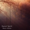 Forest Spirit - Single