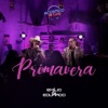 Primavera (Acústico de Luxo) [Ao Vivo] - Single