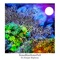 I Remember You (feat. John Blek) - SomeRiseSomeFall lyrics