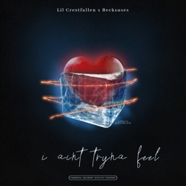 I Ain’t Tryna Feel (feat. Becksuses) Lil Crestfallen