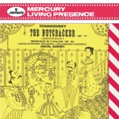 The Nutcracker, Op. 71, TH.14, Act II: No. 14c Pas de deux: Variation II (Dance of the Sugar-Plum Fairy) artwork
