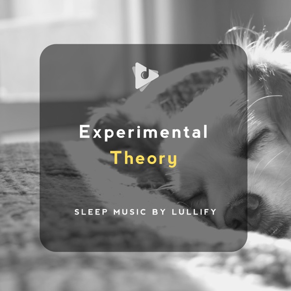 Experimental Theory